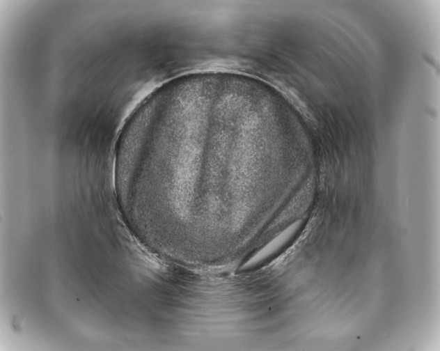 X0000093491224200710261111