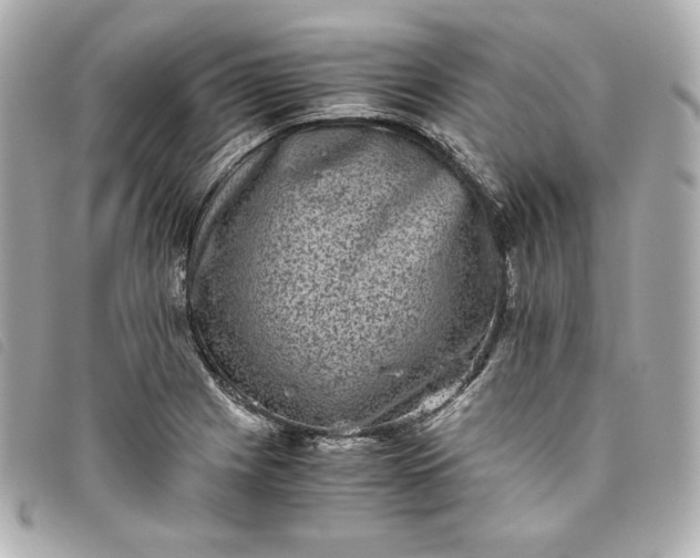 X0000093491225200710261111