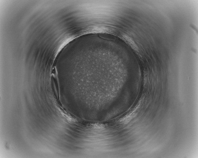 X0000093491226200710261111