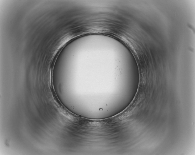 X0000093491227200710261111