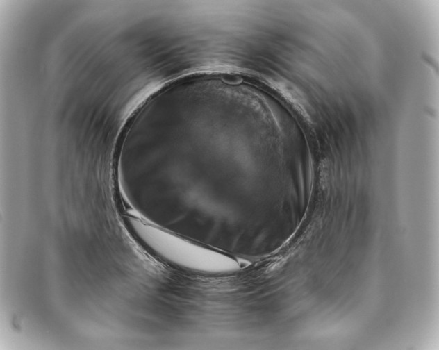 X0000093491229200710261111