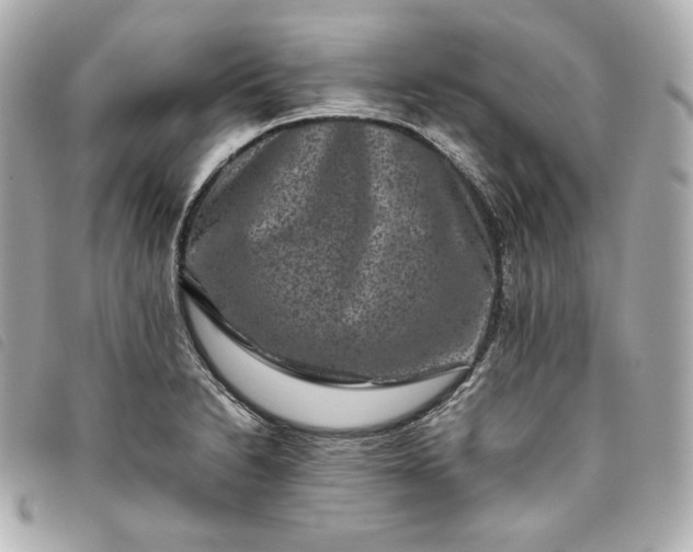 X0000093491230200710261111