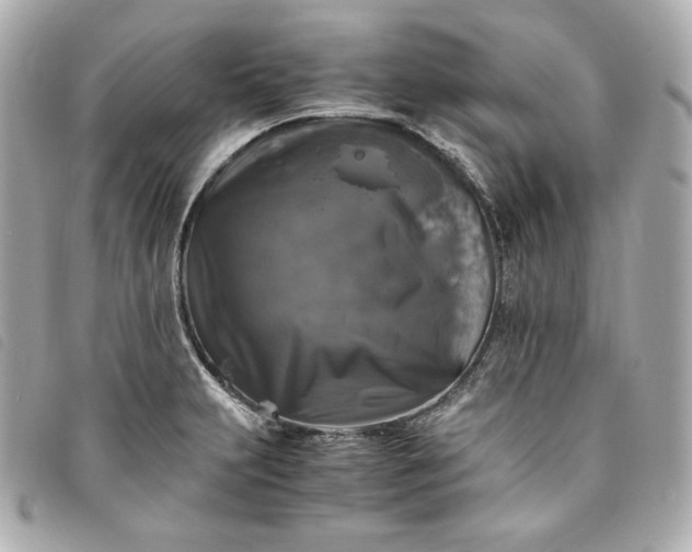 X0000093491231200710261111