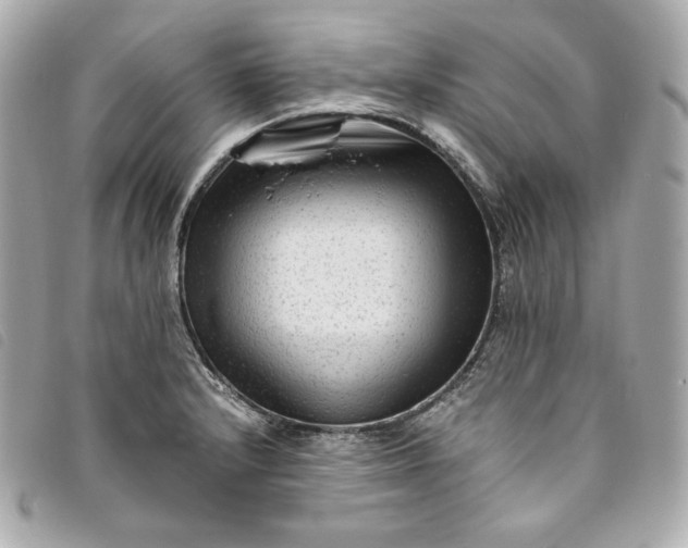 X0000093491232200710261111