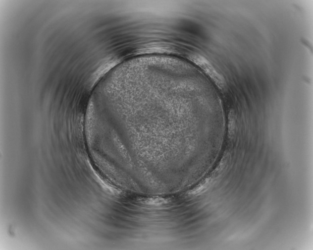 X0000093491233200710261111