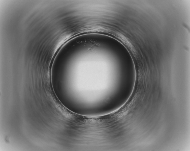 X0000093491234200710261111