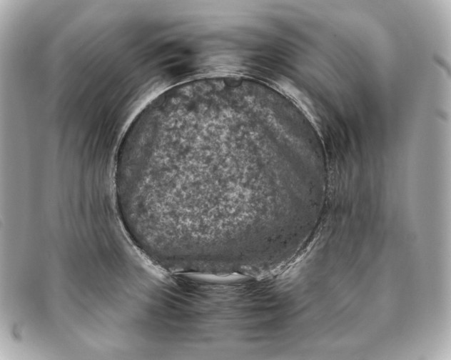 X0000093491235200710261111