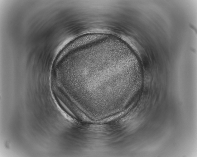 X0000093491237200710261111