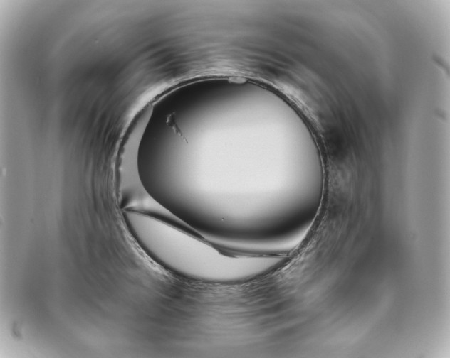 X0000093491238200710261111