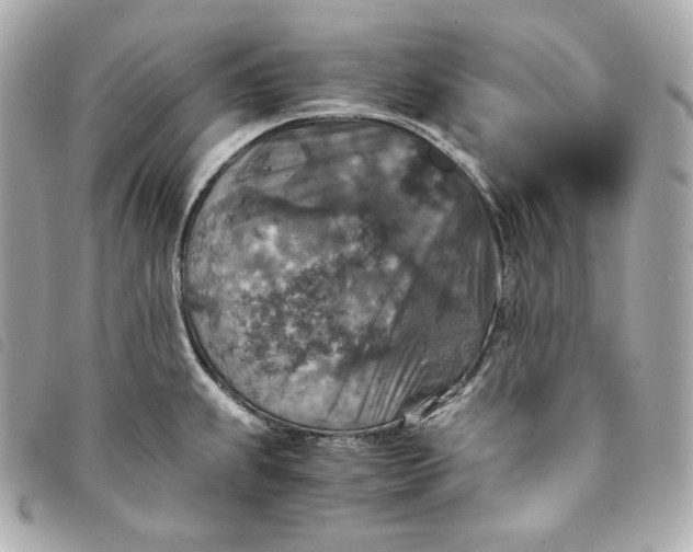 X0000093491239200710261111