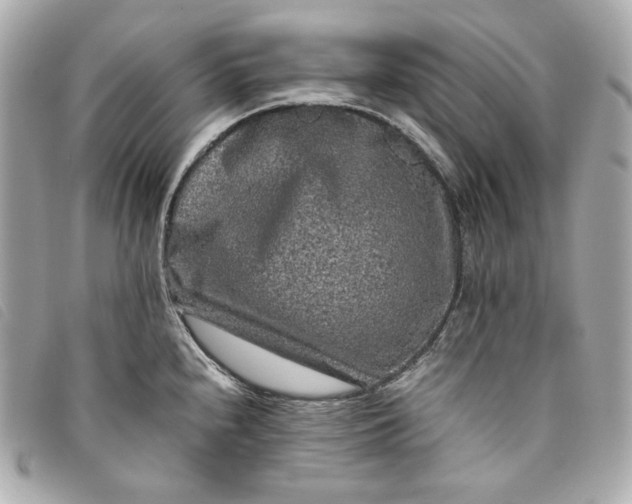 X0000093491240200710261111