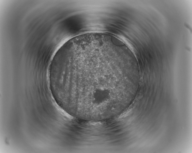 X0000093491243200710261111