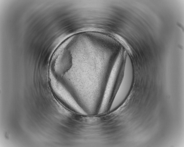 X0000093491244200710261111