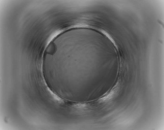 X0000093491245200710261111