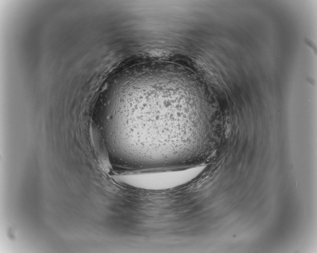 X0000093491249200710261110