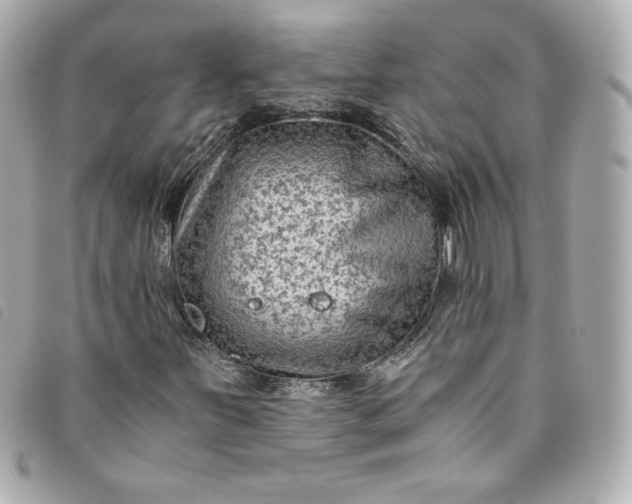 X0000093491251200710261110