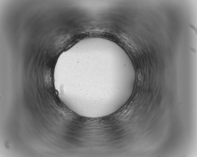 X0000093491252200710261110