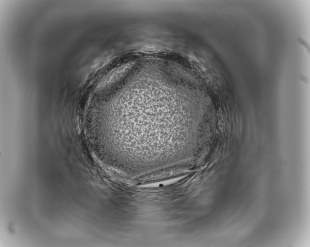 X0000093491253200710261110