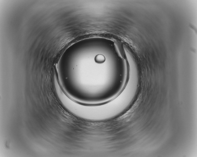 X0000093491257200710261110