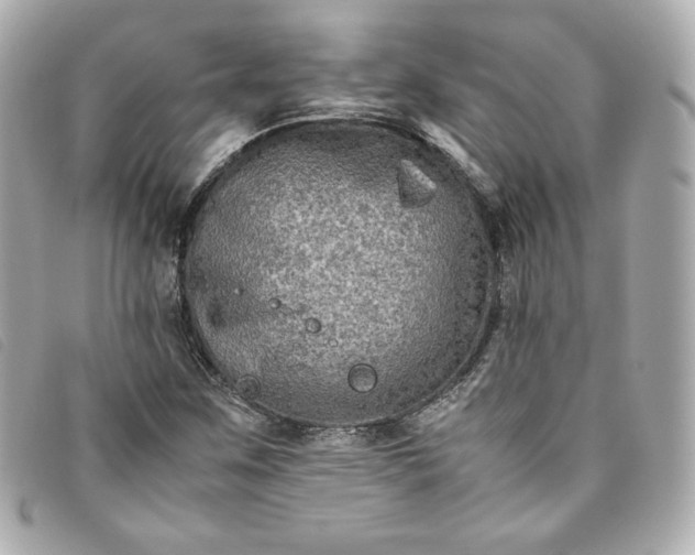 X0000093491259200710261110