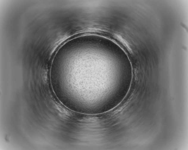 X0000093491260200710261110