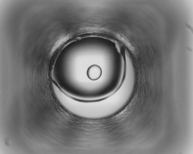 X0000093491261200710261110