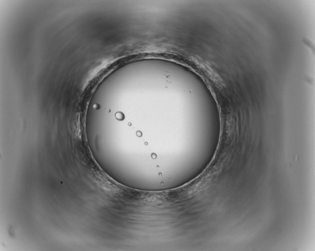 X0000093491262200710261110