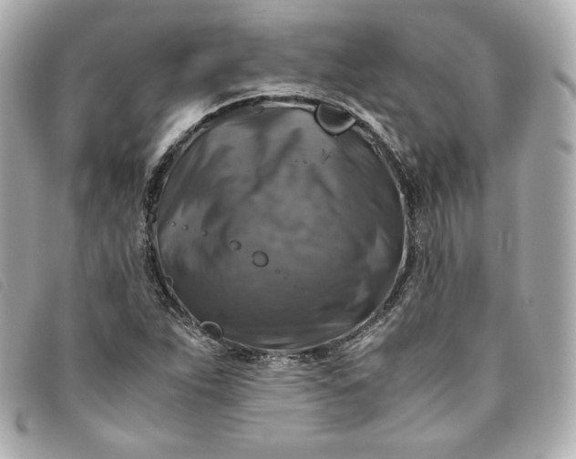 X0000093491263200710261110