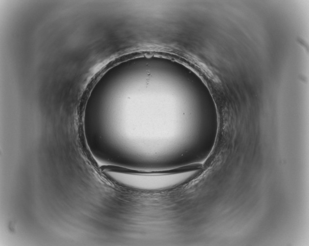 X0000093491264200710261110