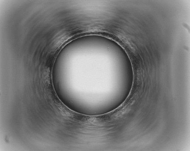 X0000093491265200710261110