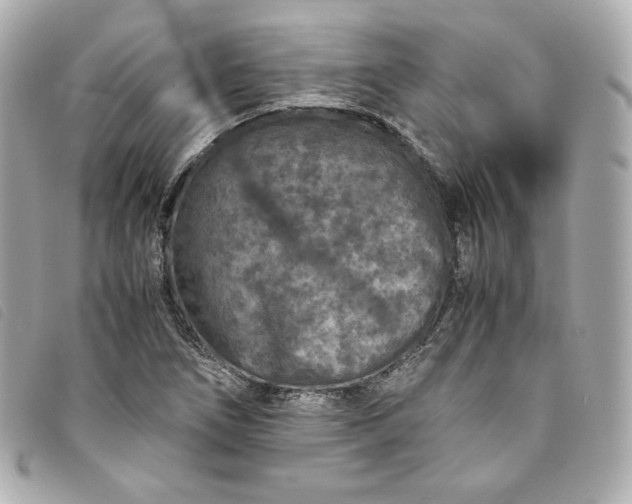 X0000093491266200710261110