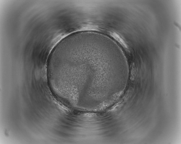 X0000093491268200710261110