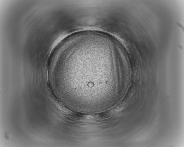 X0000093491271200710261110