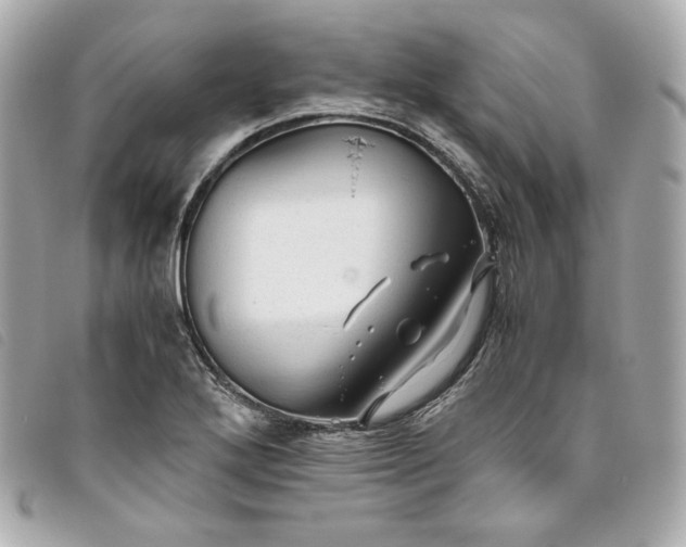 X0000093491272200710261110