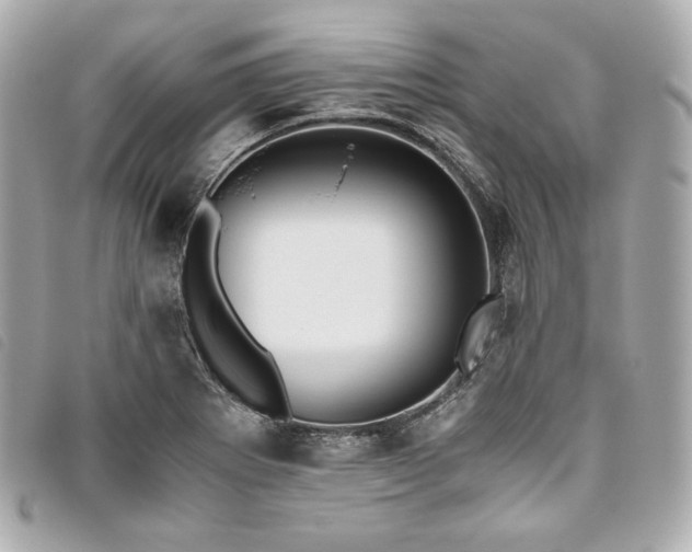 X0000093491273200710261110