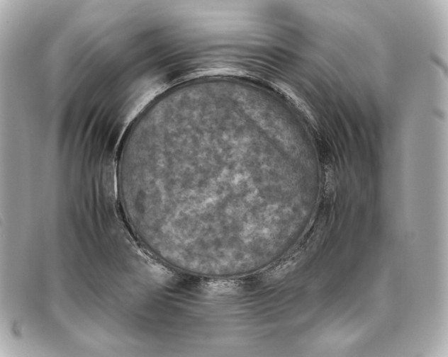 X0000093491274200710261110