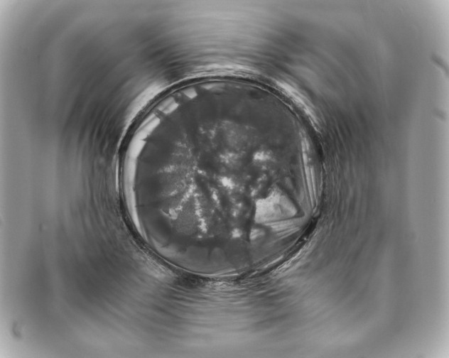 X0000093491275200710261110