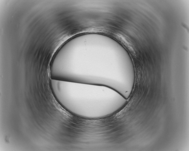 X0000093491276200710261110