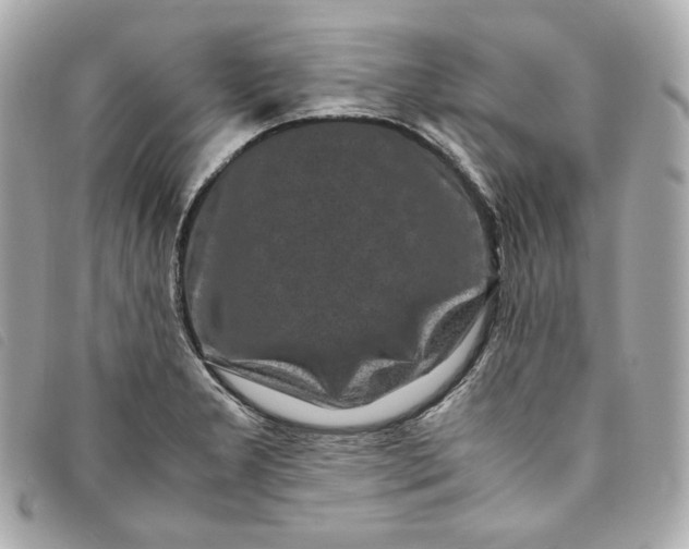 X0000093491277200710261110