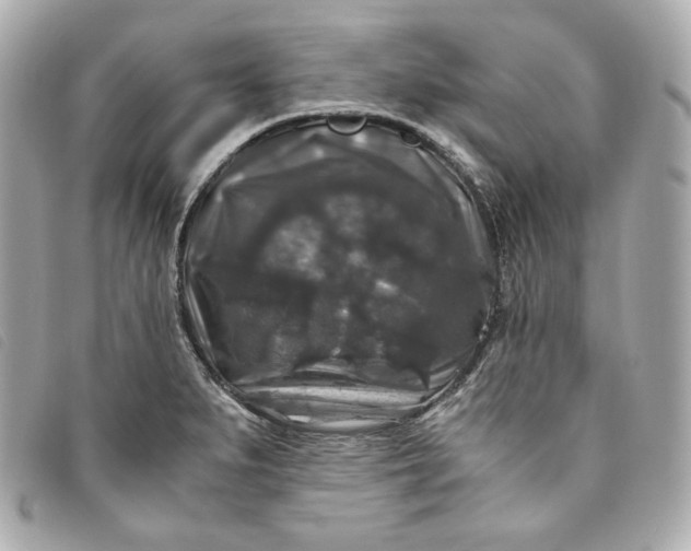 X0000093491279200710261110