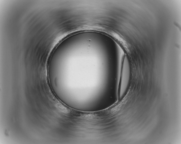 X0000093491280200710261110