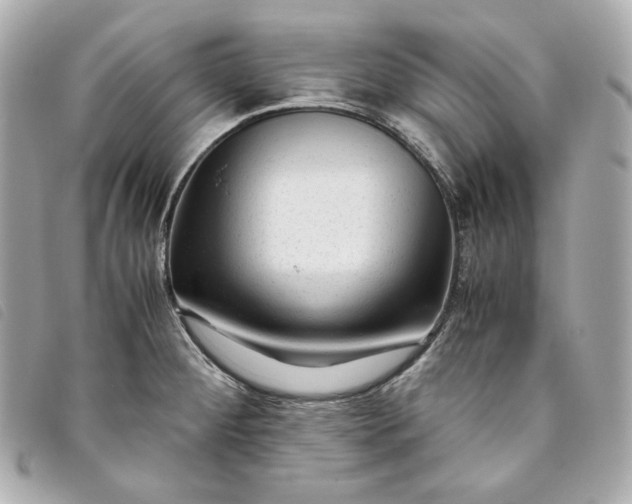 X0000093491284200710261110