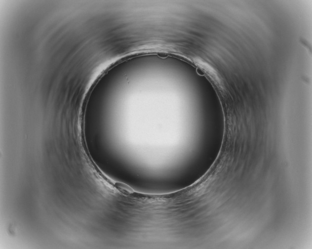 X0000093491288200710261110