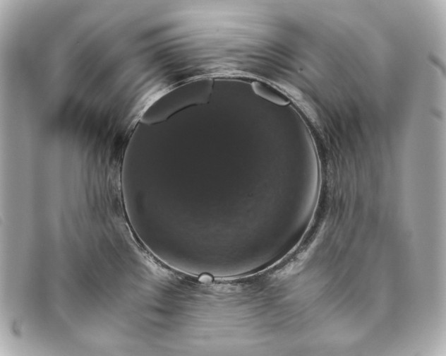 X0000093491289200710261110