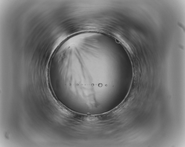 X0000093491291200710261110