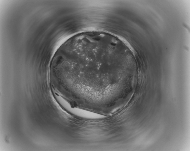 X0000093491295200710261110