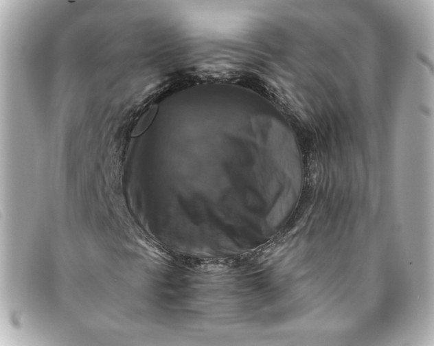 X0000093491297200710261109