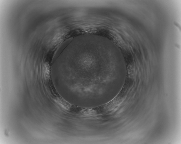 X0000093491298200710261109