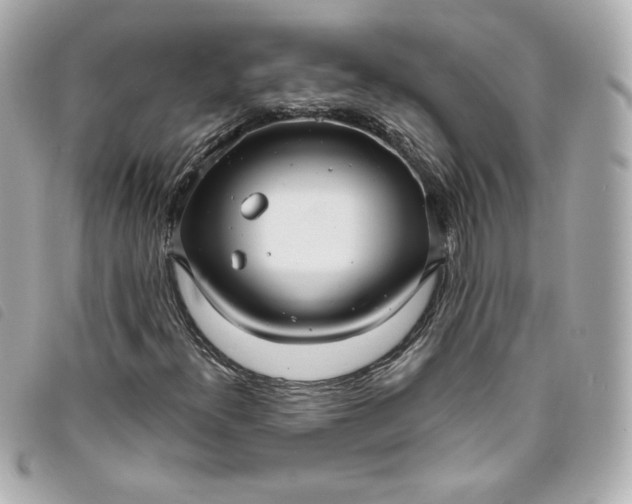 X0000093491300200710261109