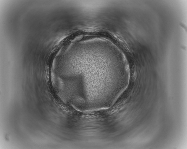 X0000093491301200710261109